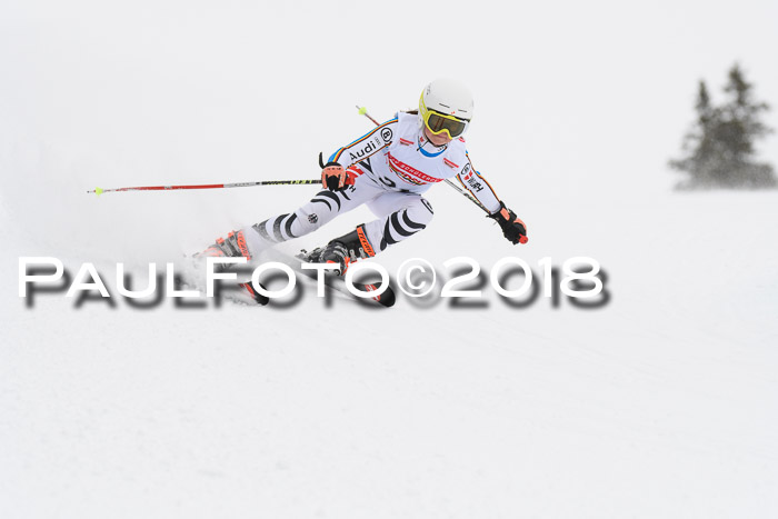 Dt. Schülercup U14 Finale, Riesenslalom, 03.03.2018