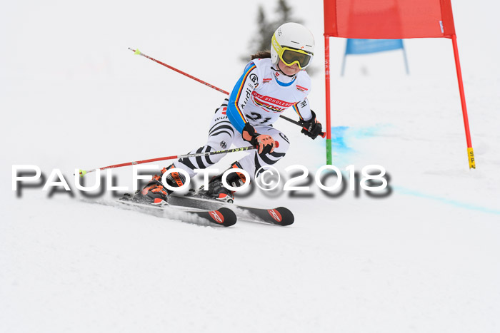 Dt. Schülercup U14 Finale, Riesenslalom, 03.03.2018