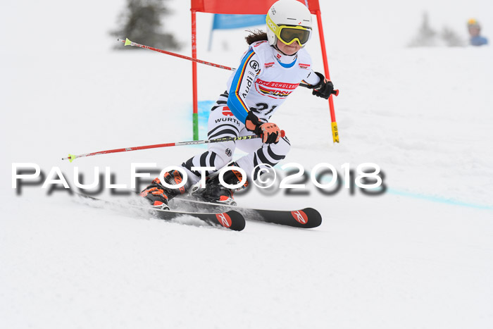 Dt. Schülercup U14 Finale, Riesenslalom, 03.03.2018