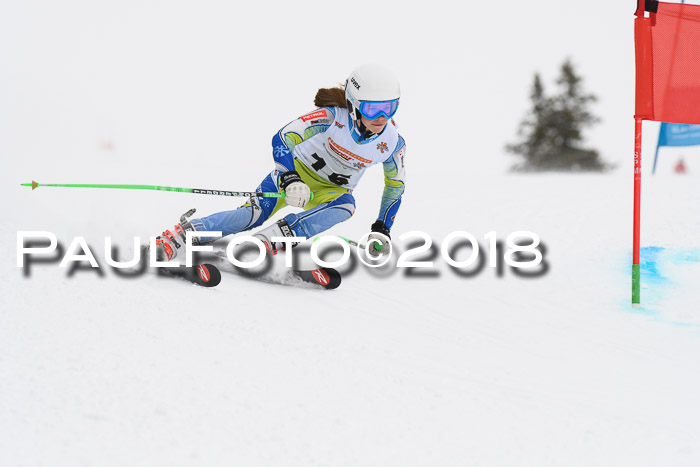 Dt. Schülercup U14 Finale, Riesenslalom, 03.03.2018