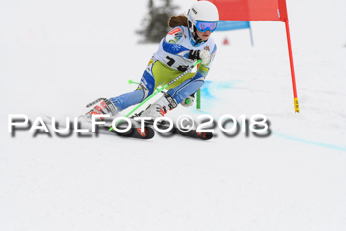 Dt. Schülercup U14 Finale, Riesenslalom, 03.03.2018