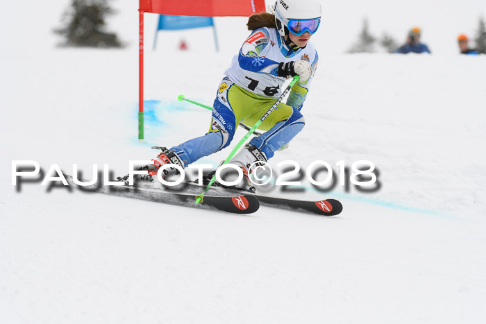 Dt. Schülercup U14 Finale, Riesenslalom, 03.03.2018