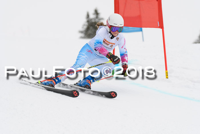 Dt. Schülercup U14 Finale, Riesenslalom, 03.03.2018