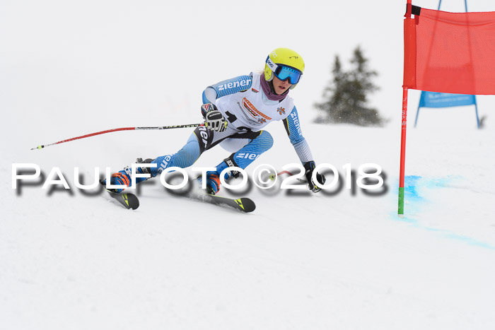 Dt. Schülercup U14 Finale, Riesenslalom, 03.03.2018