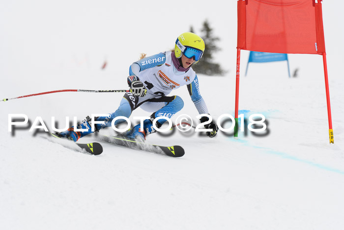 Dt. Schülercup U14 Finale, Riesenslalom, 03.03.2018