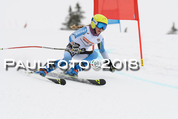 Dt. Schülercup U14 Finale, Riesenslalom, 03.03.2018