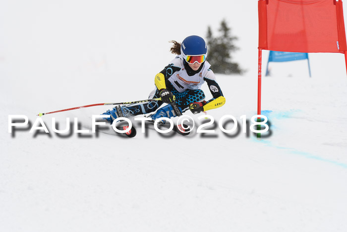 Dt. Schülercup U14 Finale, Riesenslalom, 03.03.2018