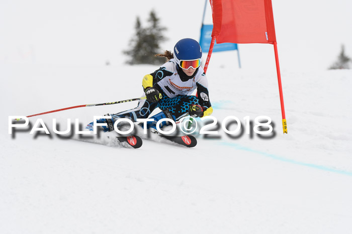 Dt. Schülercup U14 Finale, Riesenslalom, 03.03.2018