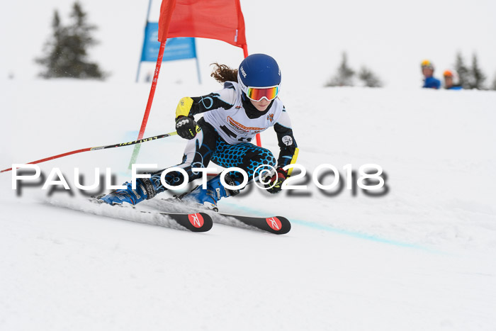 Dt. Schülercup U14 Finale, Riesenslalom, 03.03.2018