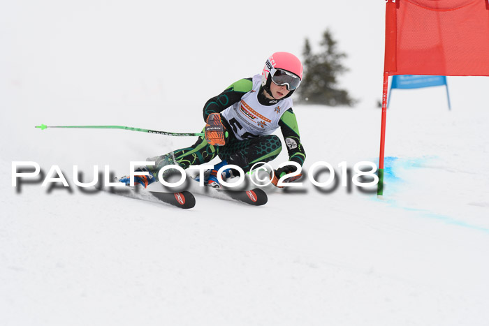 Dt. Schülercup U14 Finale, Riesenslalom, 03.03.2018