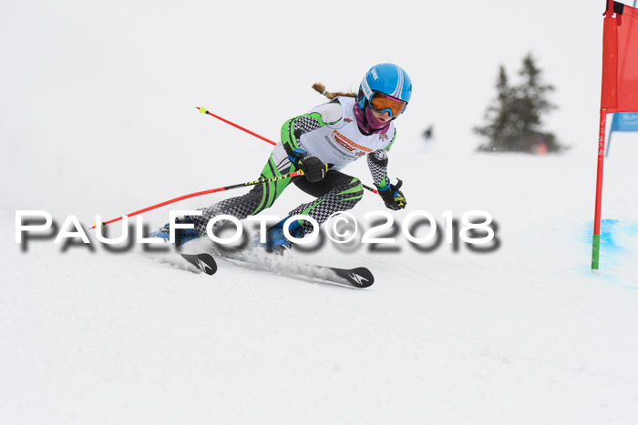 Dt. Schülercup U14 Finale, Riesenslalom, 03.03.2018