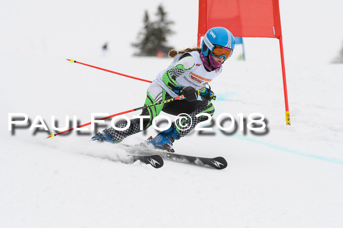 Dt. Schülercup U14 Finale, Riesenslalom, 03.03.2018