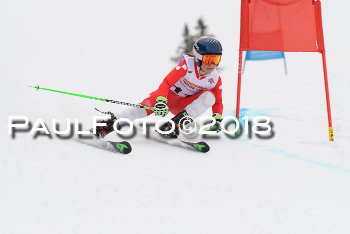 Dt. Schülercup U14 Finale, Riesenslalom, 03.03.2018