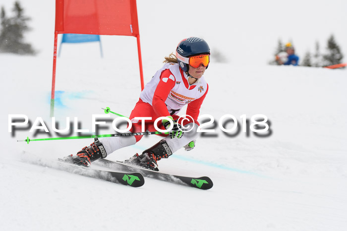 Dt. Schülercup U14 Finale, Riesenslalom, 03.03.2018