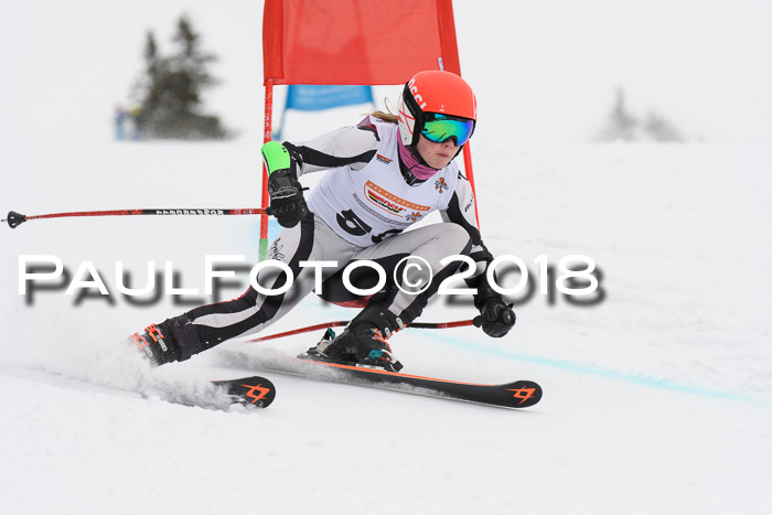 Dt. Schülercup U14 Finale, Riesenslalom, 03.03.2018