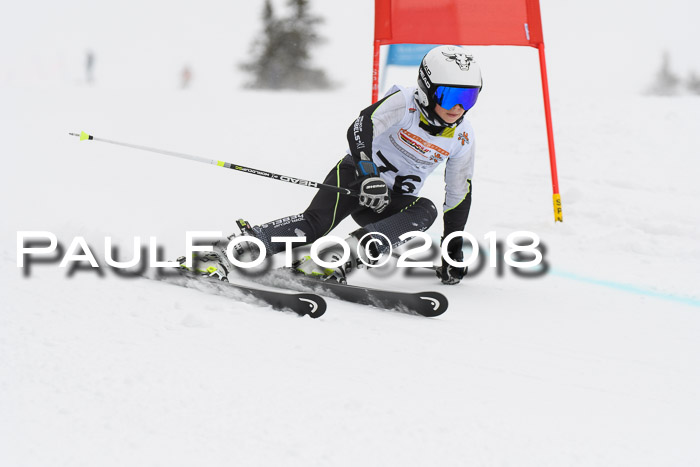 Dt. Schülercup U14 Finale, Riesenslalom, 03.03.2018