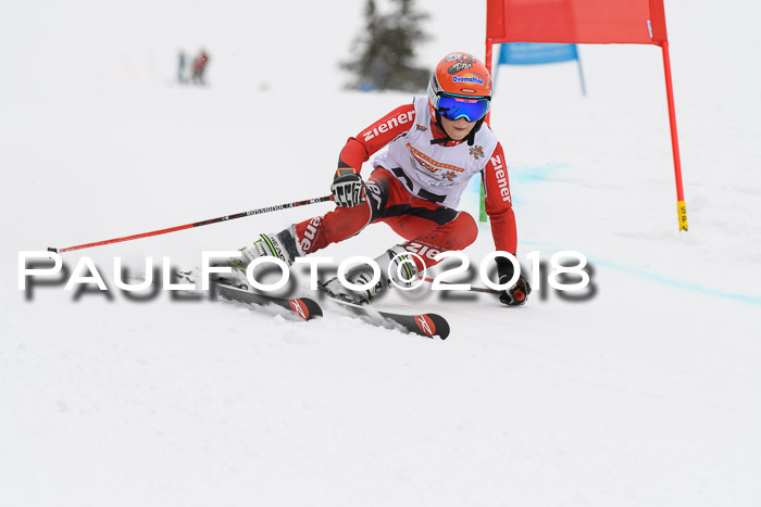 Dt. Schülercup U14 Finale, Riesenslalom, 03.03.2018