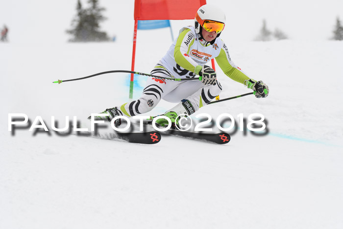 Dt. Schülercup U14 Finale, Riesenslalom, 03.03.2018