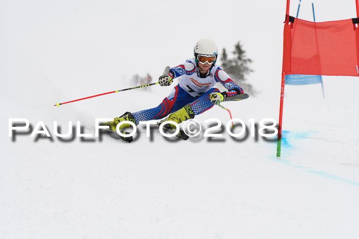 Dt. Schülercup U14 Finale, Riesenslalom, 03.03.2018