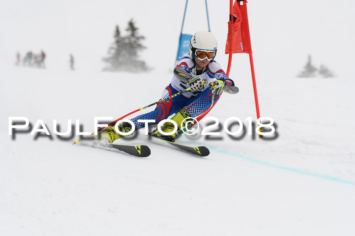 Dt. Schülercup U14 Finale, Riesenslalom, 03.03.2018