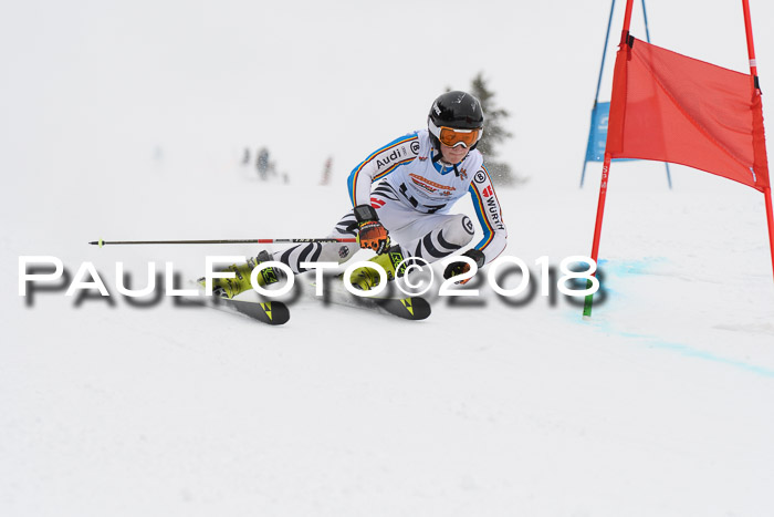 Dt. Schülercup U14 Finale, Riesenslalom, 03.03.2018