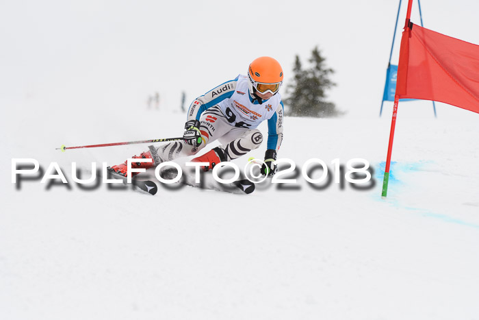 Dt. Schülercup U14 Finale, Riesenslalom, 03.03.2018