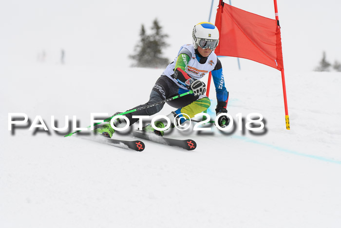 Dt. Schülercup U14 Finale, Riesenslalom, 03.03.2018