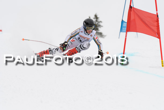 Dt. Schülercup U14 Finale, Riesenslalom, 03.03.2018