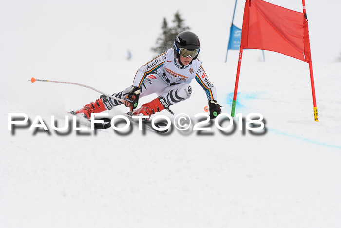 Dt. Schülercup U14 Finale, Riesenslalom, 03.03.2018