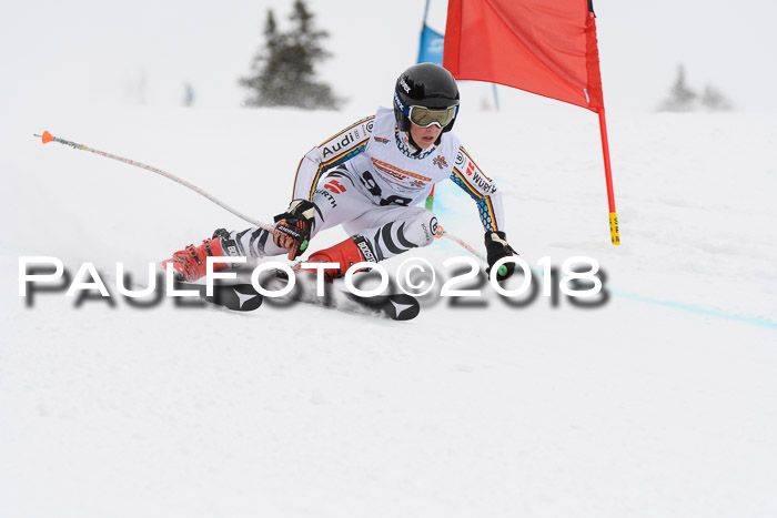 Dt. Schülercup U14 Finale, Riesenslalom, 03.03.2018