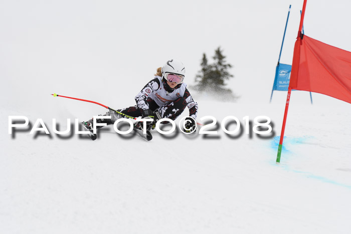 Dt. Schülercup U14 Finale, Riesenslalom, 03.03.2018