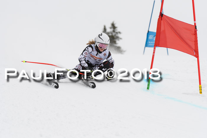 Dt. Schülercup U14 Finale, Riesenslalom, 03.03.2018