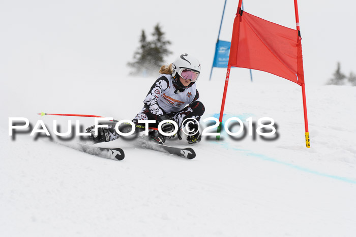 Dt. Schülercup U14 Finale, Riesenslalom, 03.03.2018