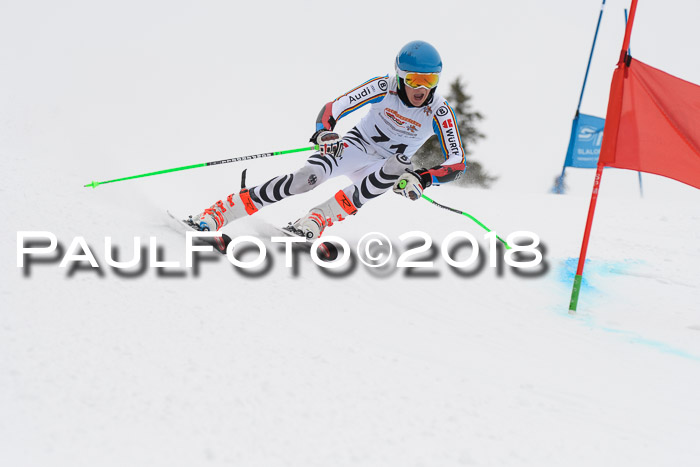 Dt. Schülercup U14 Finale, Riesenslalom, 03.03.2018