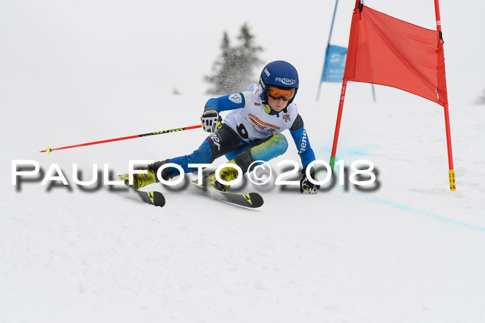 Dt. Schülercup U14 Finale, Riesenslalom, 03.03.2018