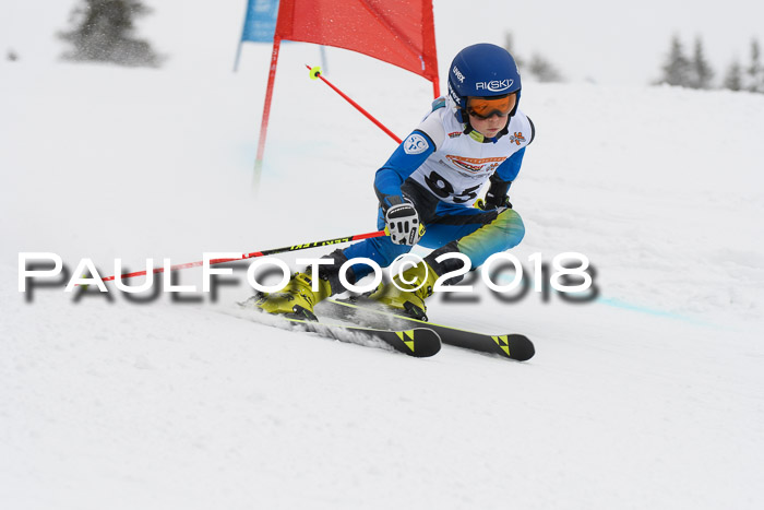 Dt. Schülercup U14 Finale, Riesenslalom, 03.03.2018