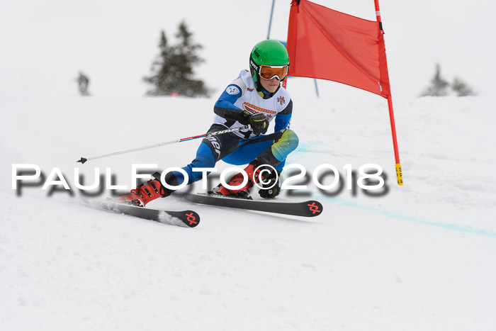 Dt. Schülercup U14 Finale, Riesenslalom, 03.03.2018