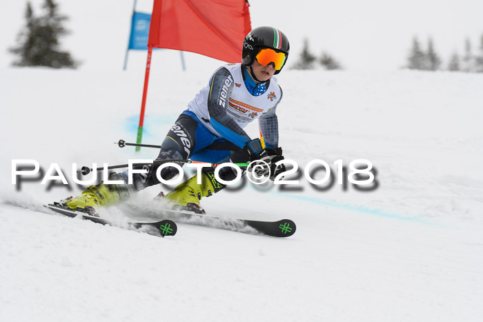 Dt. Schülercup U14 Finale, Riesenslalom, 03.03.2018