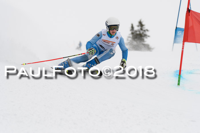 Dt. Schülercup U14 Finale, Riesenslalom, 03.03.2018