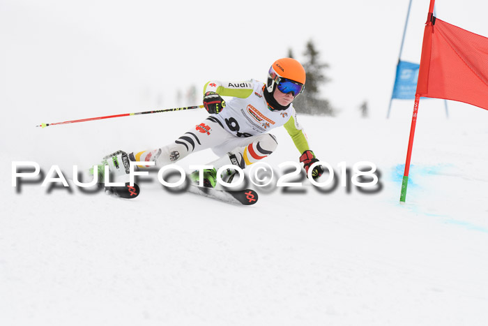 Dt. Schülercup U14 Finale, Riesenslalom, 03.03.2018