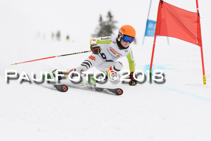 Dt. Schülercup U14 Finale, Riesenslalom, 03.03.2018