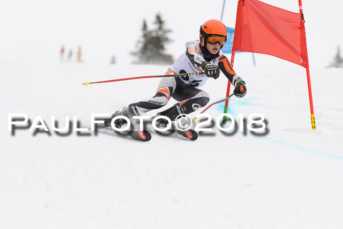 Dt. Schülercup U14 Finale, Riesenslalom, 03.03.2018