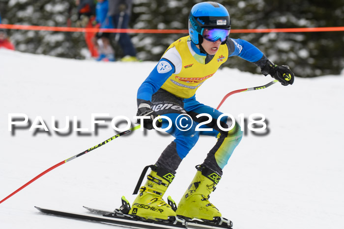 Dt. Schülercup U14 Finale, Riesenslalom, 03.03.2018