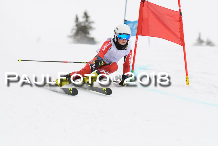 Dt. Schülercup U14 Finale, Riesenslalom, 03.03.2018