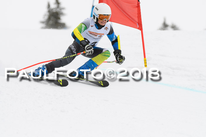 Dt. Schülercup U14 Finale, Riesenslalom, 03.03.2018