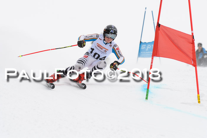 Dt. Schülercup U14 Finale, Riesenslalom, 03.03.2018