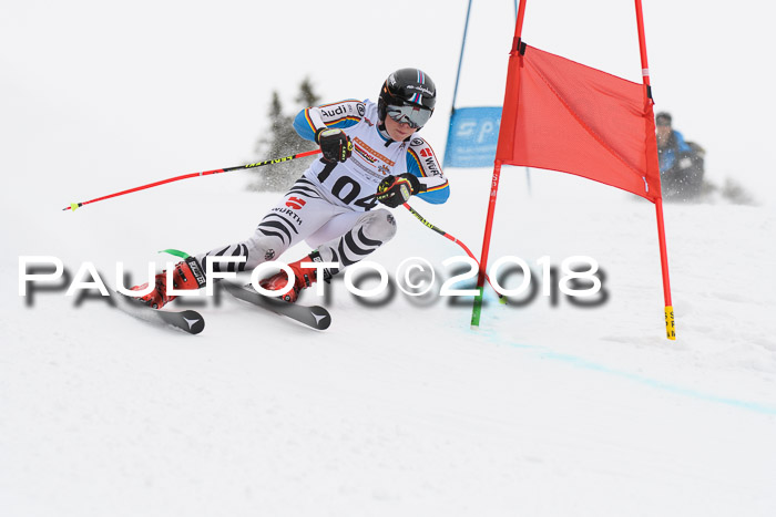 Dt. Schülercup U14 Finale, Riesenslalom, 03.03.2018