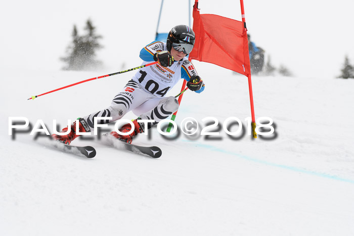 Dt. Schülercup U14 Finale, Riesenslalom, 03.03.2018