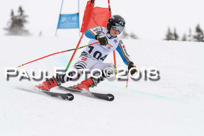 Dt. Schülercup U14 Finale, Riesenslalom, 03.03.2018