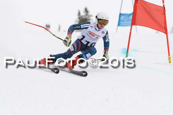 Dt. Schülercup U14 Finale, Riesenslalom, 03.03.2018